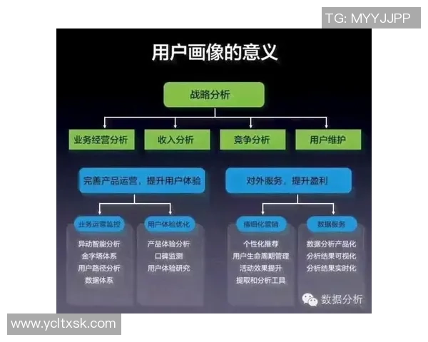 里德的绿茵传奇与荣耀生涯全面解析与深度解读