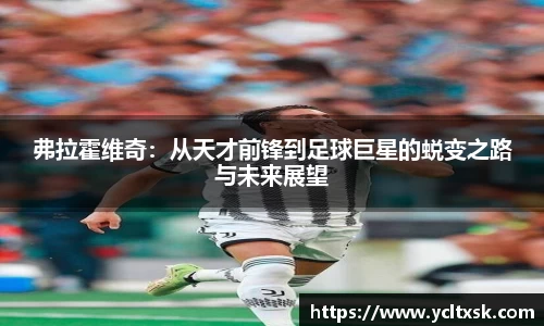 星空真人平台官网